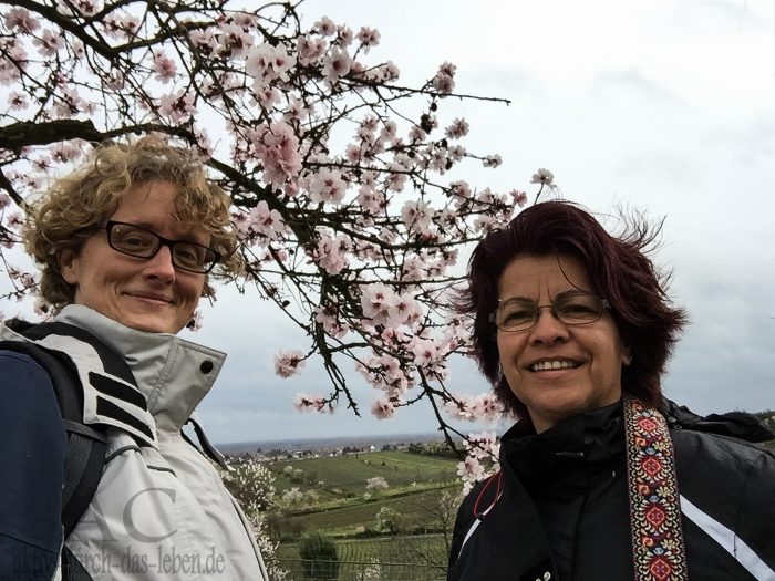 März 2015 in Gimmeldingen