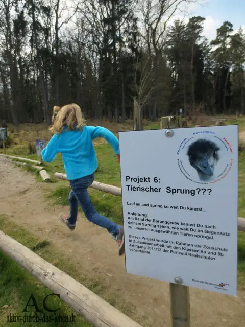 Projekt Tierischer Sprung im Hochwildschutzpark Rheinböllen