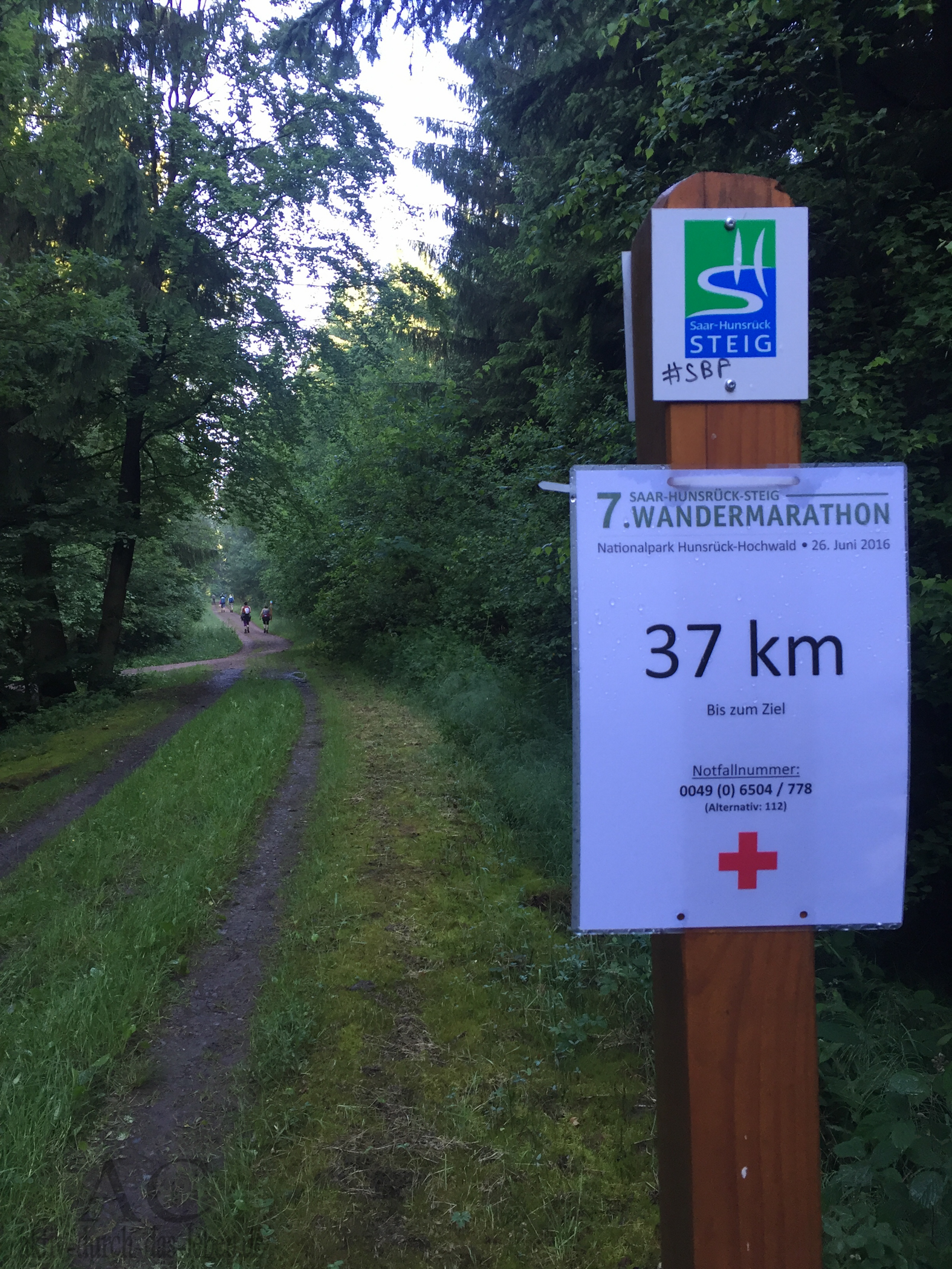 Verschoben auf 2022: Der 11. Saar-Hunsrück-Steig Wandermarathon