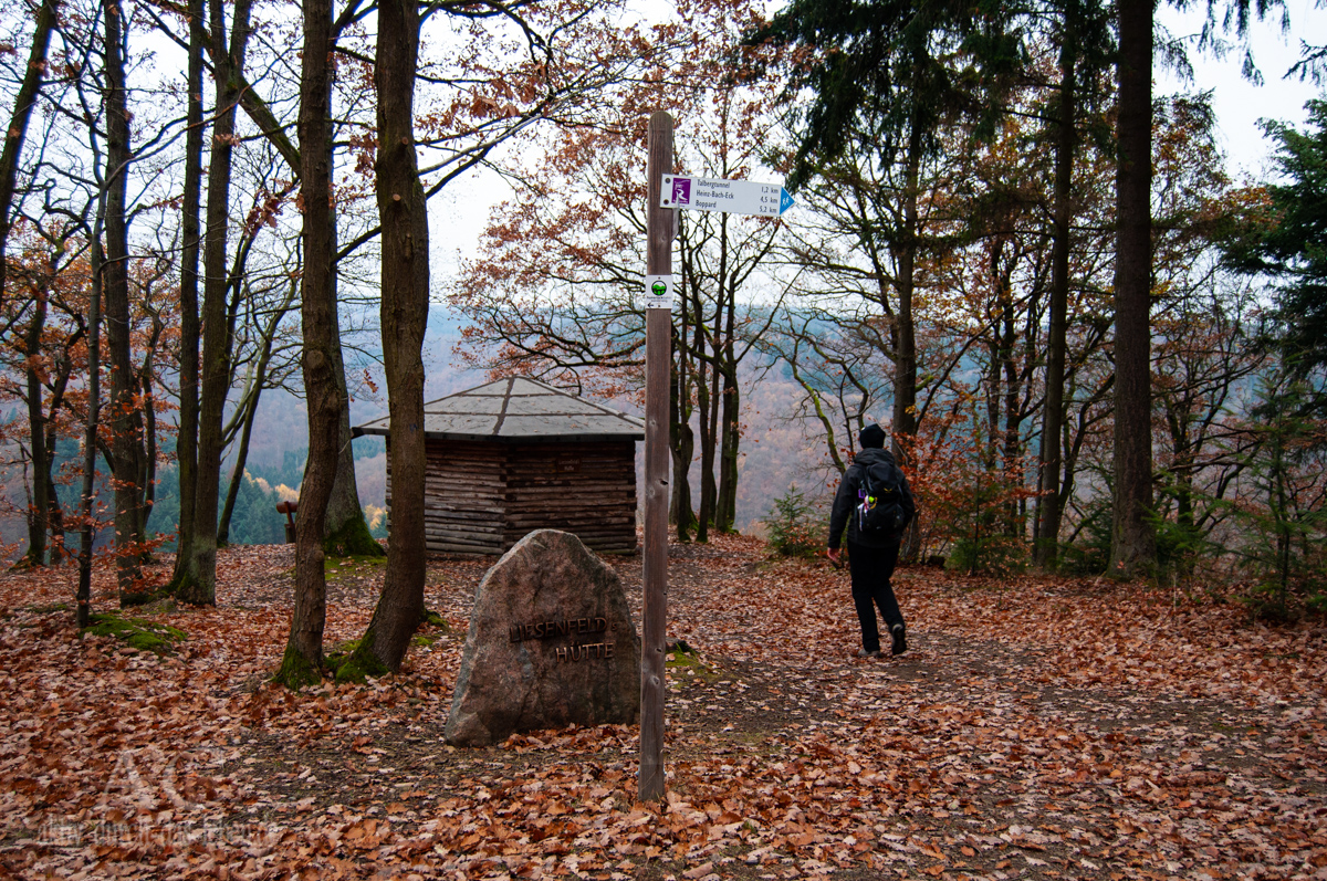 Hunsrückbahnwanderweg Liesenfelder Hütte