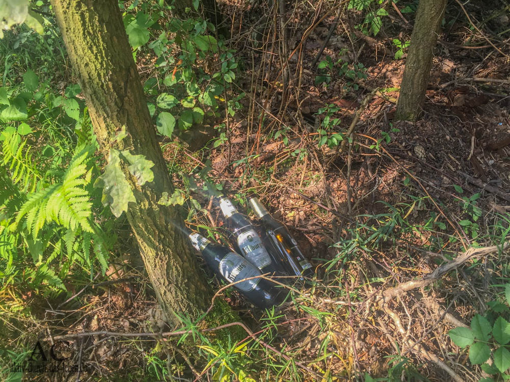 Pfand-Flaschen im Wald. Müll.