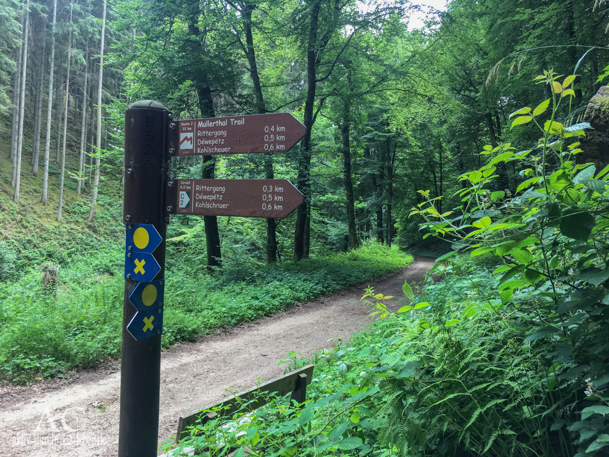 Müllerthal Trail