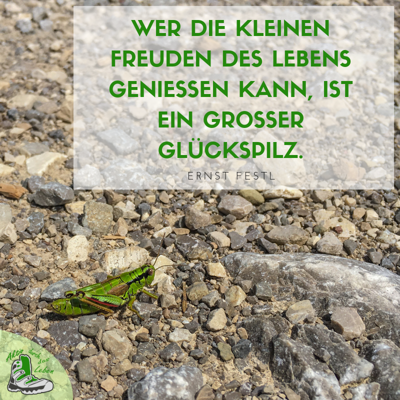 42++ Sprueche natur und leben info