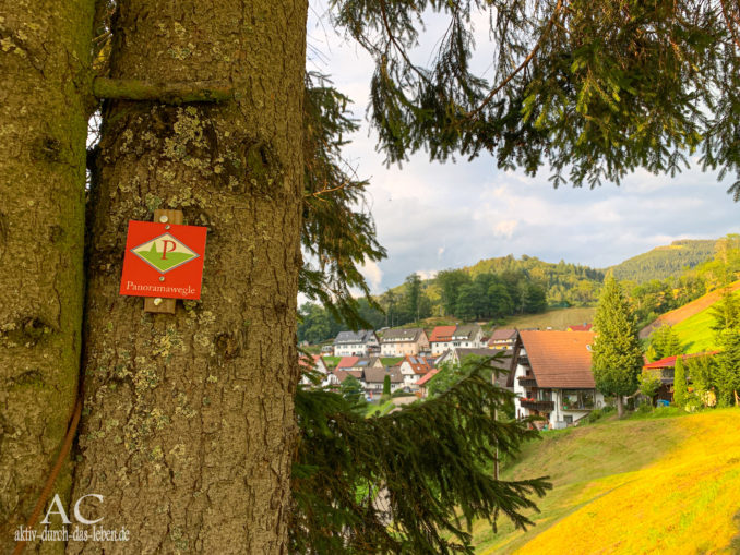 Aussicht Panoramawegle Bad Peterstal Griesbach