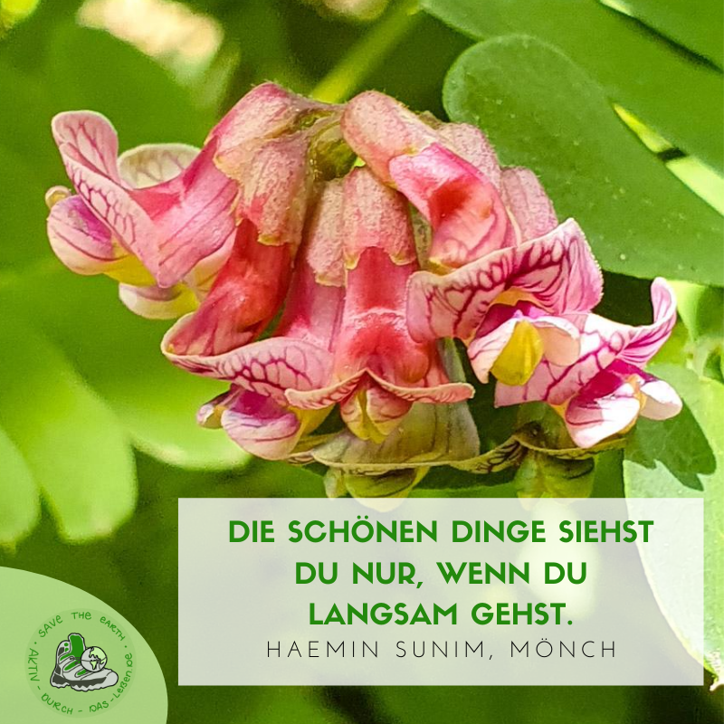 Die Schonsten Spruche Wandern Liebe Natur Und Mehr Aktiv Durch Das Leben De Wanderblog