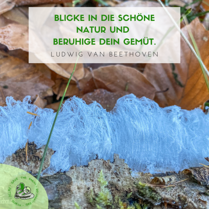 Die schönsten Sprüche Wandern, Liebe, Natur und mehr Aktivdurch