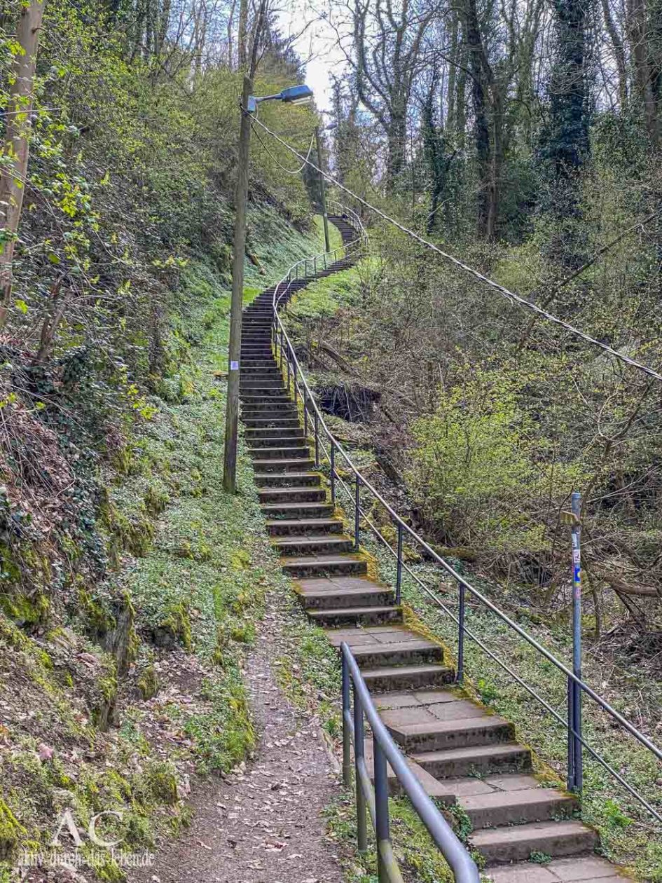 Treppen Traumschleife Mittelrhein
