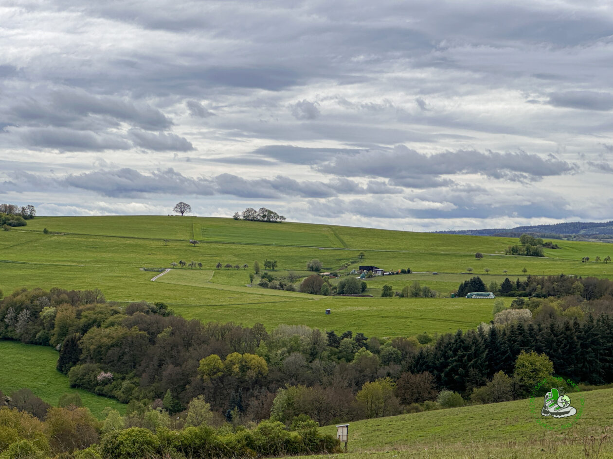 Aussichten Traumschleife Arten Reich 